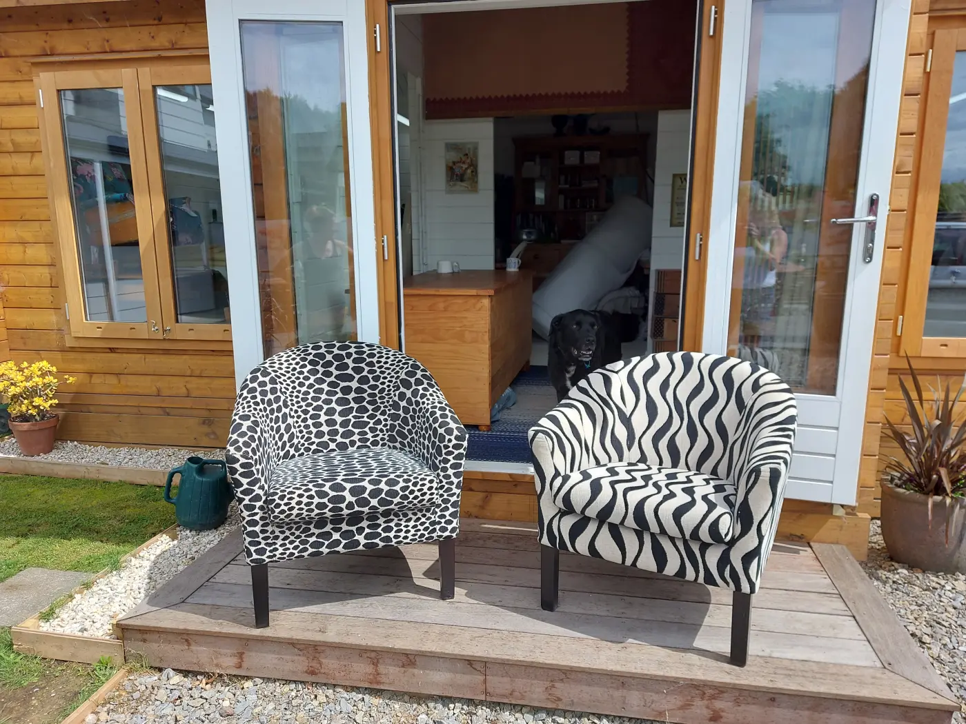 Pair of chairs renewed in graphic black and white fabrics
